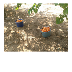 normál cefre normál cefre